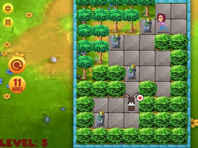  Push Puzzle: Rescue Adventure